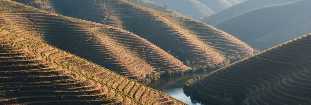 Sunlit hillsides cut into countless planted terraces dropping to a narrow green river in deep shadow