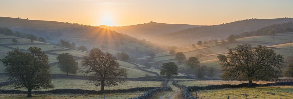 Low sun breaking over hazy hills, dry stone walls across green fields, scattered autumn trees and a dirt track