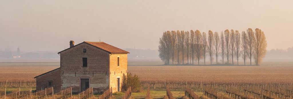 Brick farmhouse with a terracotta tiled roof and small high windows, bare vine rows in front, tall poplars in the haze