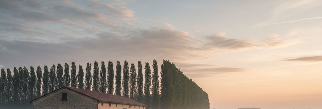 A row of tall poplars in low haze behind a long stone building with a red tiled roof, pink dawn sky above