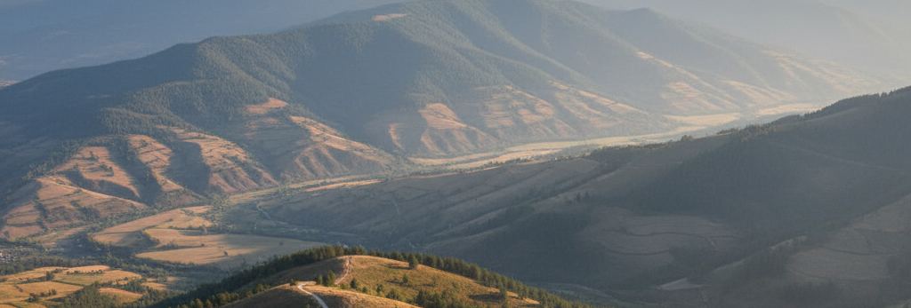 Hazy blue ridges above a valley of gold and green terraced fields, a pale track along the pine-dotted foreground crest